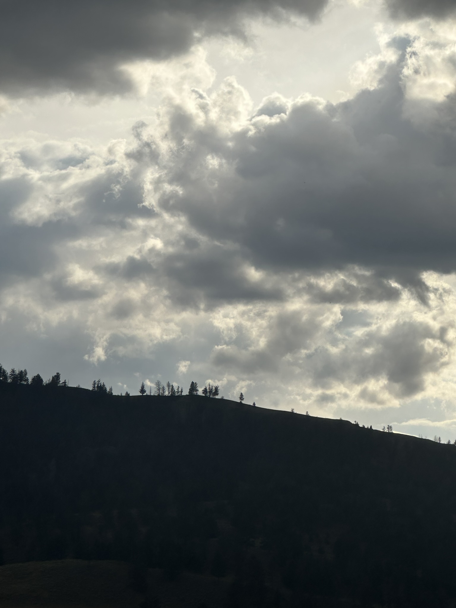 Yellowstone And Grand Teton National Parks - Image 1085